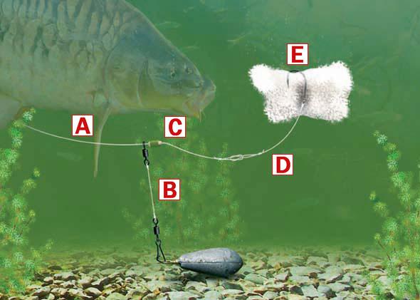 Underwater - popped-up-crust-rig.jpg